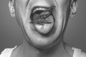 bird in a man's tongue as a conceptual design