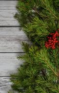 green spruce branch and red rowan berries on the boards as decoration