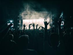 crowd of fans is dancing at a concert