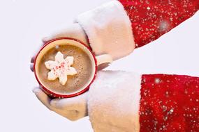 Santa Claus hands