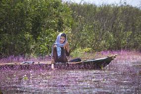 pretty muslim girl in boat on water among purple blooming plants, vietnam, dong thap