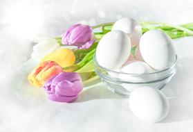 eggs and tulips