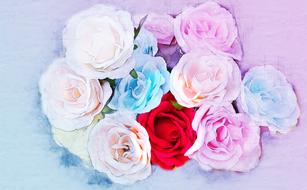 Beautiful watercolor drawing of the colorful roses