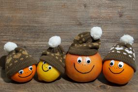 photo of oranges in knitted hats