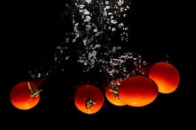 Tomato Red in water at dark background