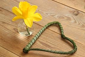 yellow flower in a vase and a green heart