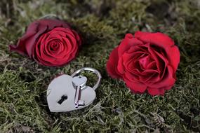 red roses and padlock