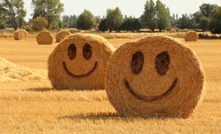 emoticons on straw bales on a field on a sunny day
