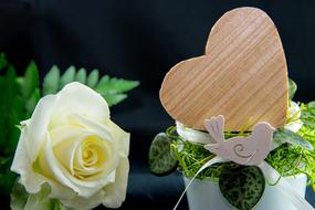 white Rose and wooden heart