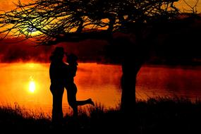 silhouettes of lovers on the shore at sunset