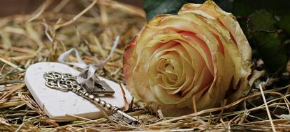 Rose Floribunda and heart key