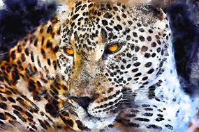 portrait of a leopard with bright yellow eyes