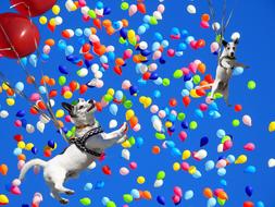 Spassfototo Dog Balloons banner