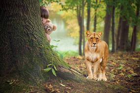 girl with a teddy bear hiding from a lioness in a forest