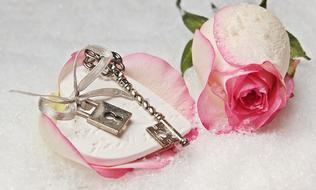 Close-up of the beautiful, pink, purple and white rose with the leaves, and metal heart key, with the petals