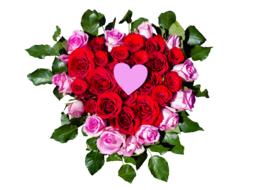 romantic bouquet of roses in the shape of a heart