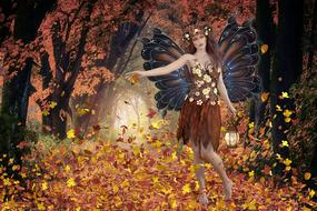 fantasy forest fairy