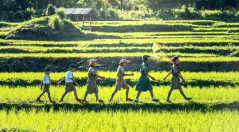 boy scouts walk across a green field in Thailand