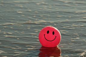 pink Ball with Happy face on Beach