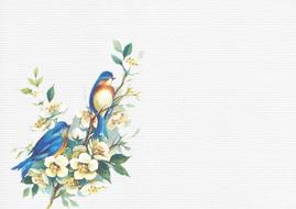 drawn tits on a flowering branch