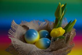 Easter Eggs yellow blue