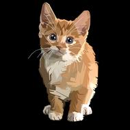 graphic image of a brown kitten on a black background