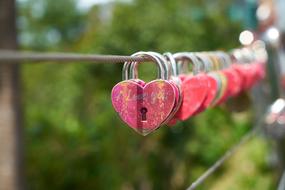 Close-up of the colorful and beautiful heart padlocks, on the rope, among the colorful plants