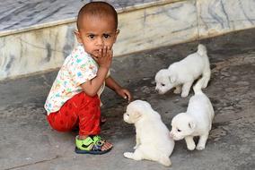 Cute Baby with cute poppy