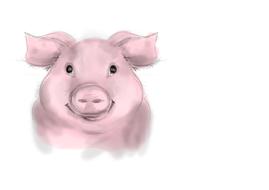 painted pink pig head