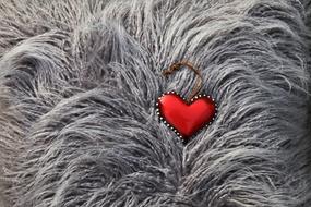 red Heart shape decoration on grey fur