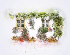 flowers nature windows drawing