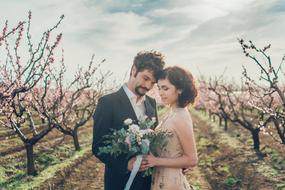 photo session of the newlyweds in the vineyard