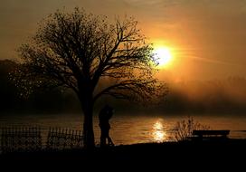 couple in love stands under a tree at sunset