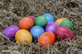 colorful Easter eggs on hay