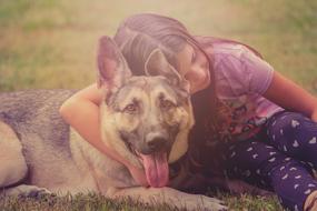 amazing Dog and Child