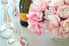 Peonies and Champagne