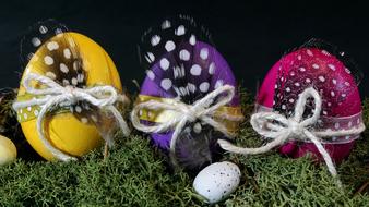 colorful easter eggs with feathers
