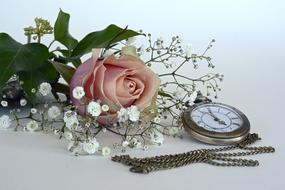 Rose Blossom and clock