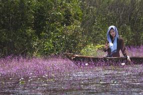 girl on a boat among purple flowers in asia