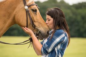 girl kisses a horse
