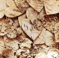 hearts from birch bark