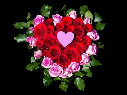 ravishing Heart Roses