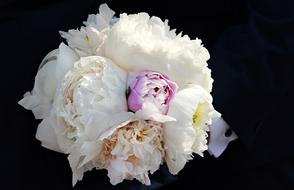 Bridal Bouquet Peony white