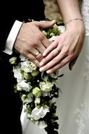 Bride And Groom Hands with Wedding rings together