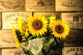 Sunflowers Yellow and wooden box