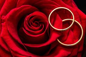 Wedding Rings Rose Gold red