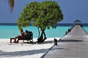 people in the shade of a green tree on the coast of the maldives