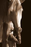 Grey horse and girl