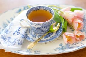 closeup picture of Tea in vintage Cup and pink tulips on plate