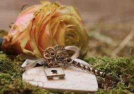 rose, wooden heart with a lock and a key on a moss